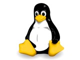 Imprimantes linux